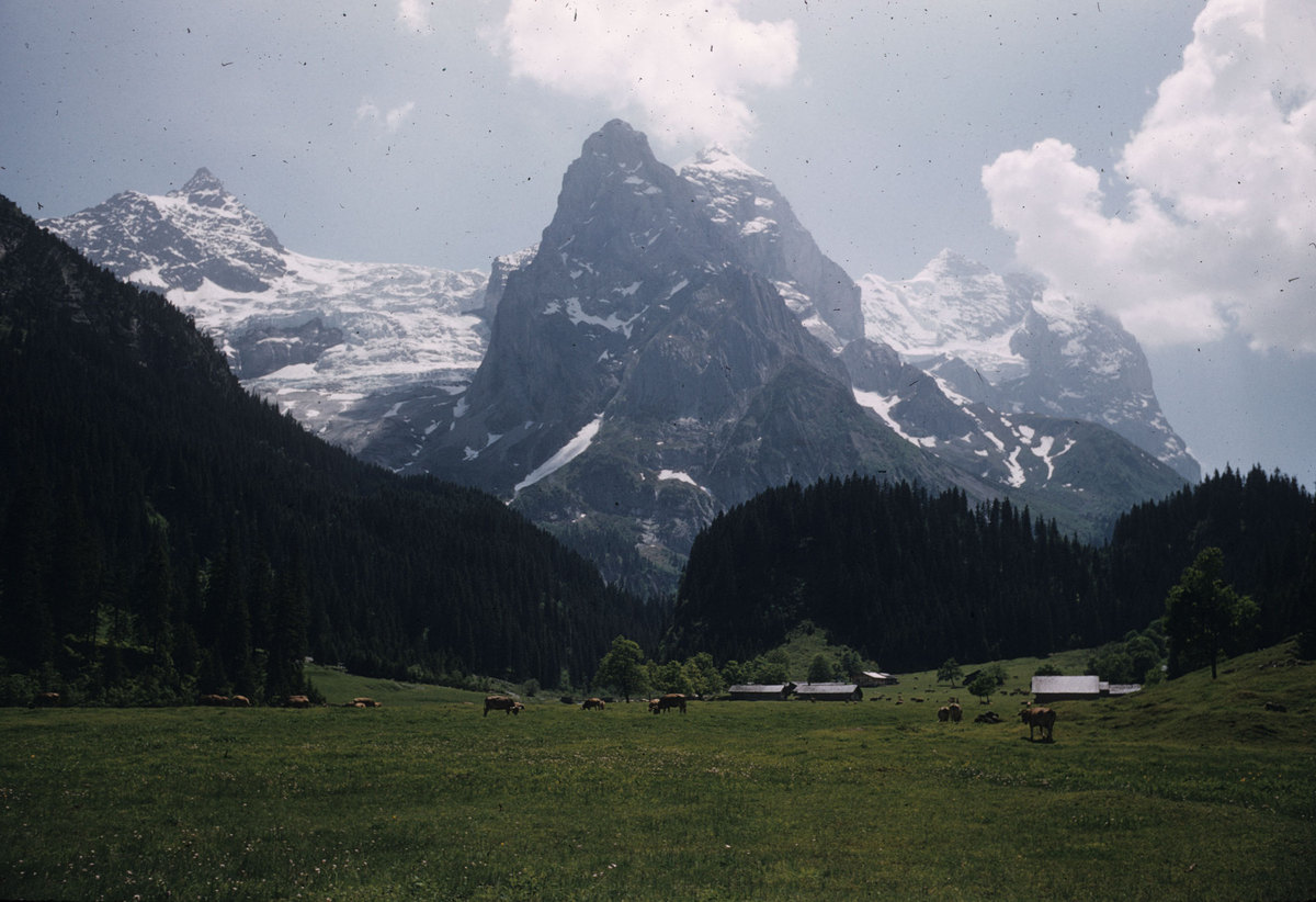 110_Reichenbach-valley-toward-rosenlaui.jpg