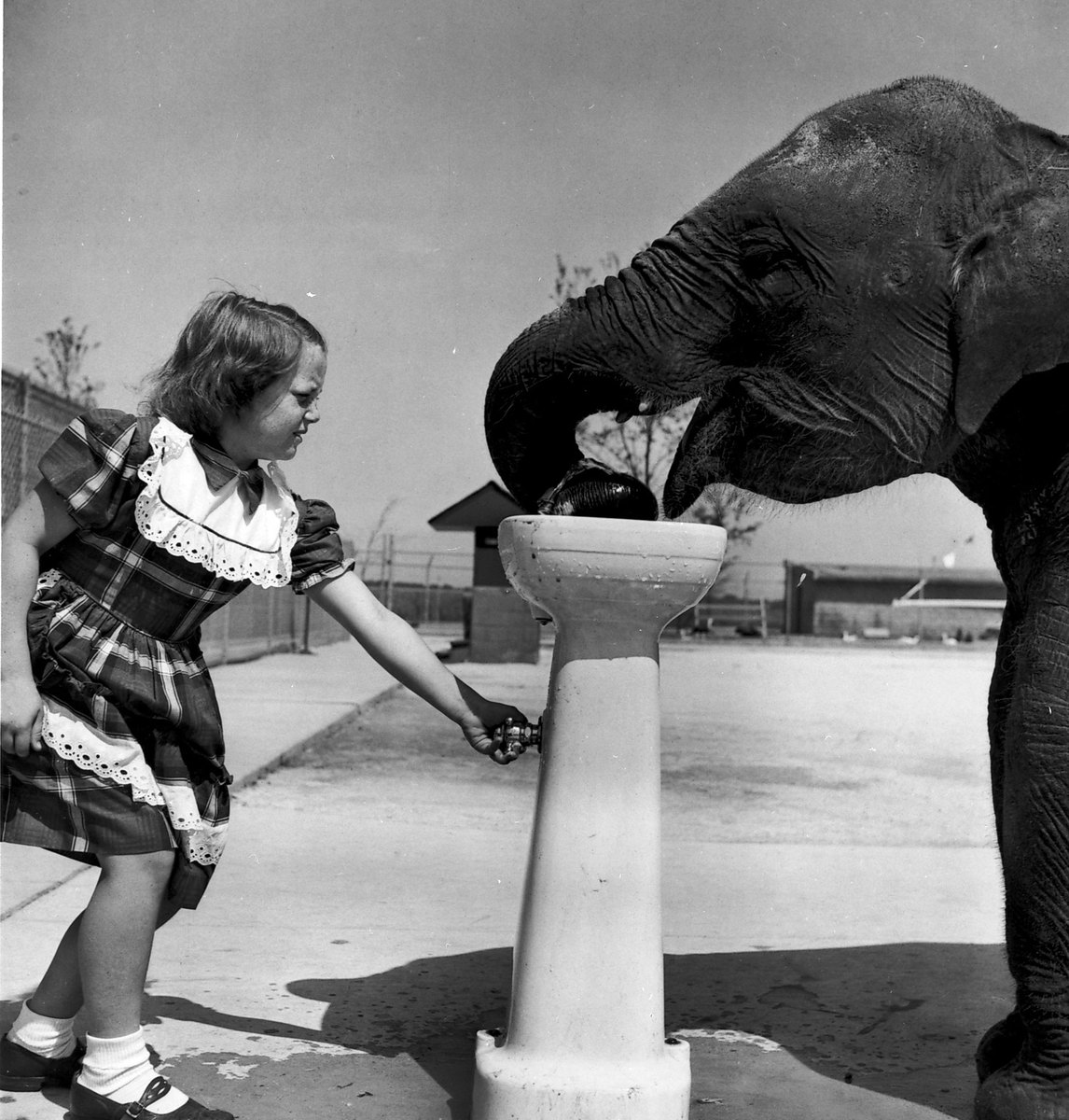 0029_girl_giving_elephant_water.jpg