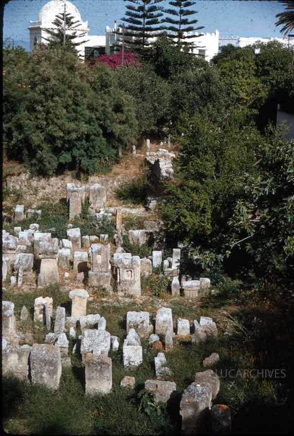 28-carthage-steles-tophet.jpg