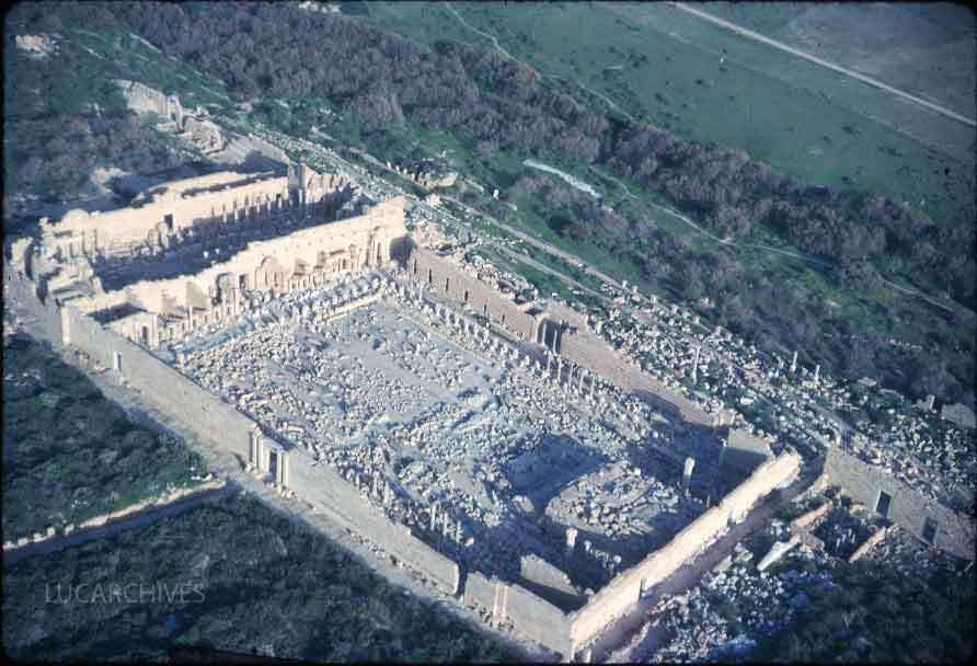 5a-leptismagna-new-forum.jpg