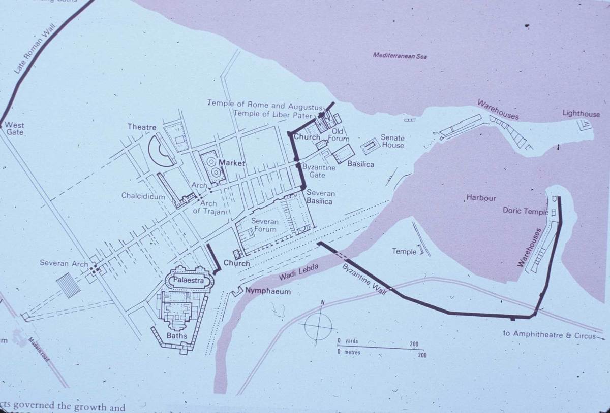 166_leptis-magna-plan.jpg