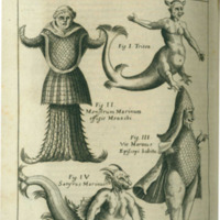 002_schott_physica_curiosa_.jpg