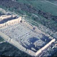 5a-leptismagna-new-forum.jpg