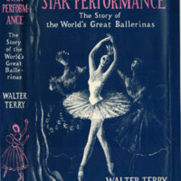 Terry. Star Performance04122013_0000.jpg
