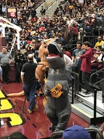 Dinosaur costumes at viewing party