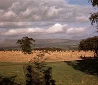 3b_Stooks_wPendleMtStonyhurst_.jpg