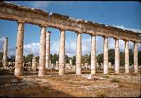 3-cyrene-basillica-hadrian.jpg