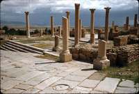 50-timgad-library.jpg