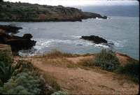 70-tipasa-typical-african-coastline.jpg